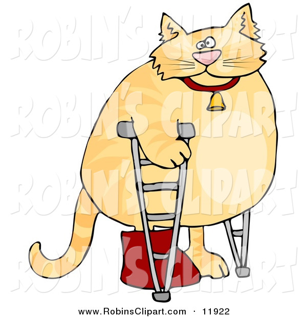 Clip Art Of A Chubby And Fluffy Orange Cat Walking On Crutches In A    