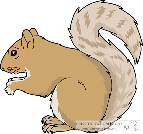 Clip Art Squirrel Squirrel Clipart
