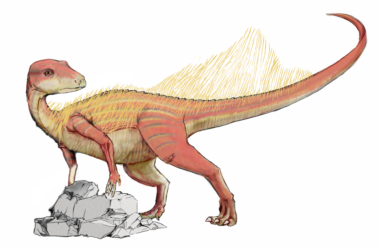 Description Abrictosaurus Dinosaur Png