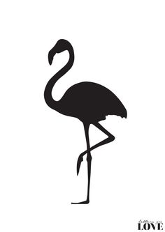 Flamingo Silhouette Black And White Typography By Lettersonlove