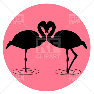 Flamingo Silhouette On The Sunrise 6335 Plants And Animals Download    
