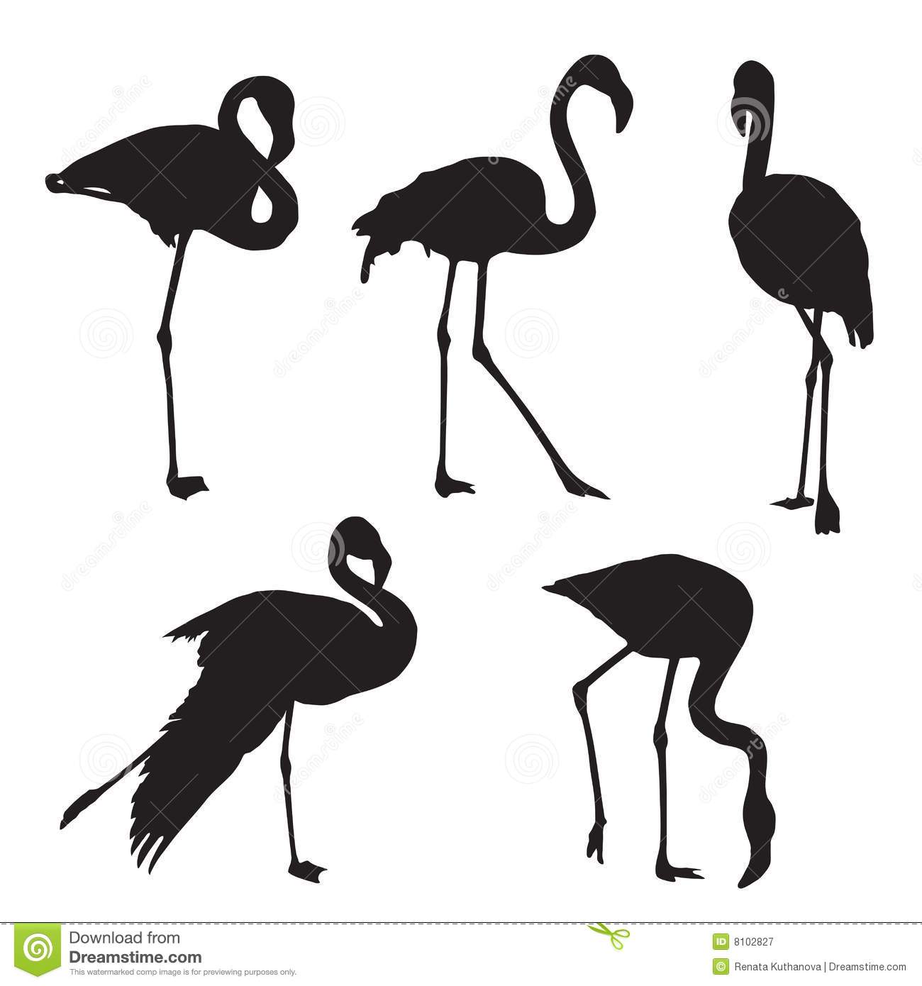 Flamingo Silhouette Royalty Free Stock Photography   Image  8102827