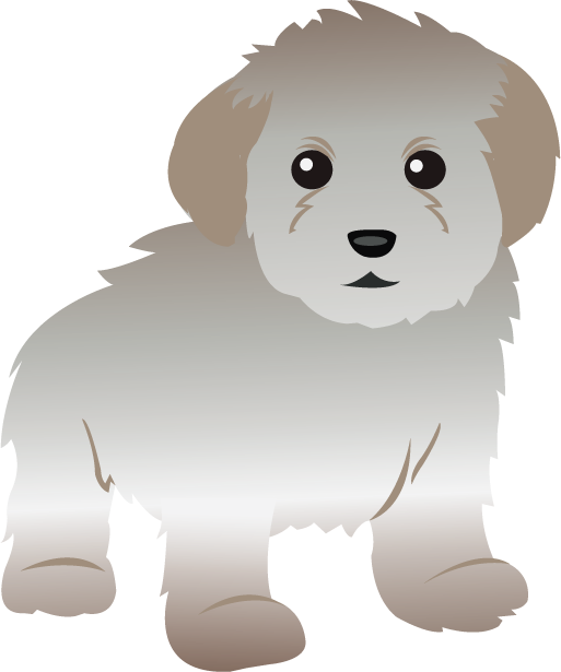 Free Clip Art  Animals   Pets   Maltese Toy Poodle
