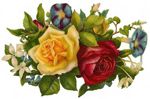 Free Victorian Flowers And Vintage Fruit Clip Art And Borders