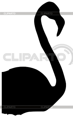 Silhouette Eines Flamingos     Perysty