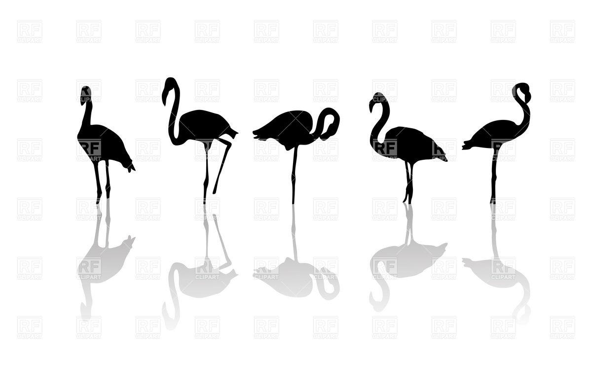 Silhouette Of Flamingo In Different Positions Download Royalty Free    