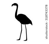 Stock De Fotos Profesionales De Flamingo Bird Silhouette Clipart