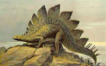 This Picture Is Of An Early Stegosaurus Drawing By German Artist Tiere    