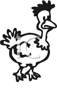 Black And White Cartoon Of A Chicken   Royalty Free Clipart Picture