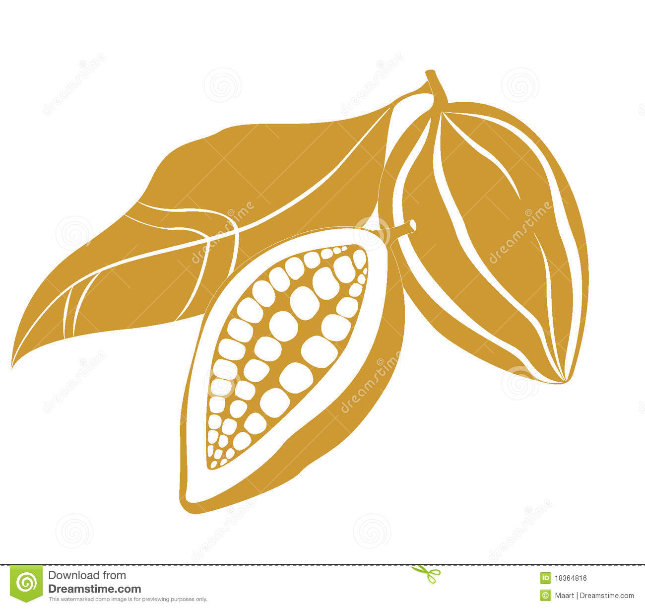 Cocoa Beans Clipart Cacao Beans Icon Over White