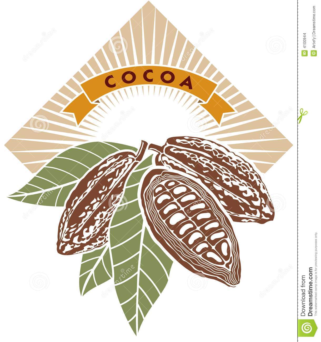 Cocoa Beans Stock Images   Image  4100944