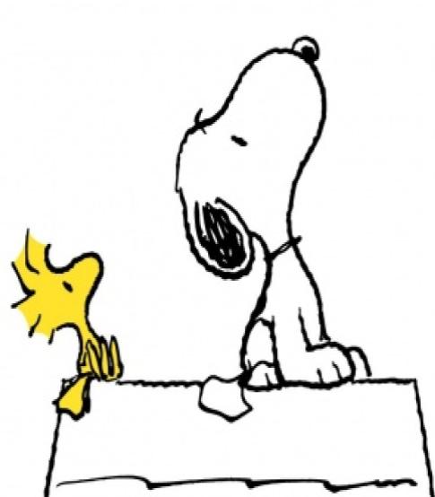Image   Snoopy Woodstock Jpg   Peanuts Wiki