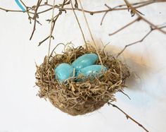 Bird And Egg Cave Art   Handmade Robin S Egg Bird Nest Ornament    