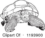 Clipart Of A Black And White Aldabra Giant Tortoise Royalty Free