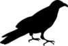 Crow Clipart Image   Silhouette Of A Crow Or Raven In Black