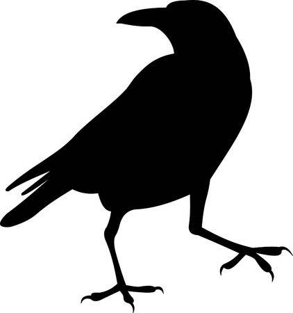 How Ravens Came To Be Black