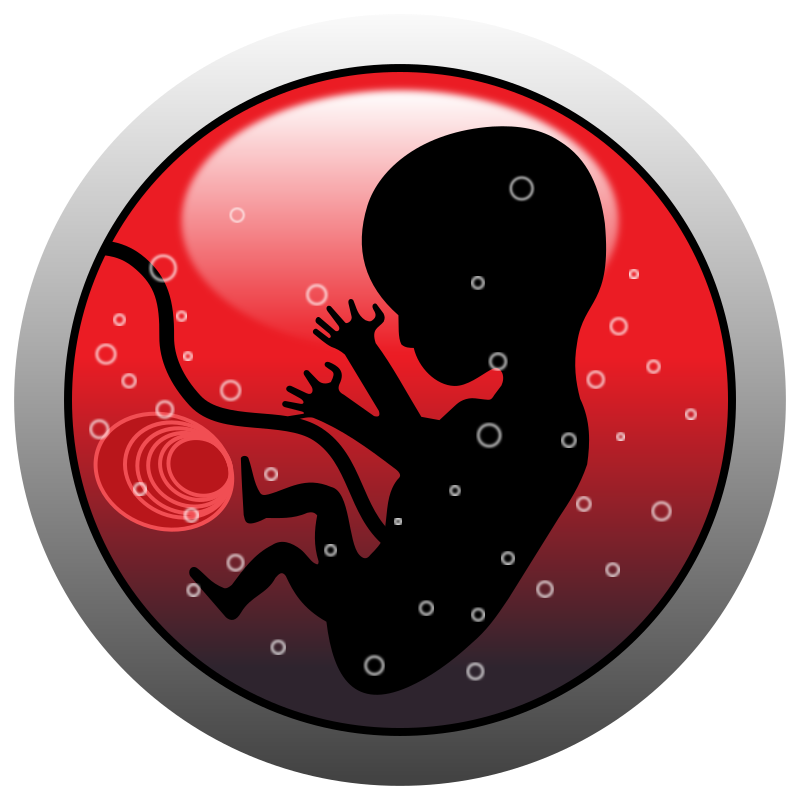 Human Embryo  Silhouette  By Azex   Silhouette Of A Human Embryo