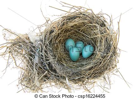 Photo   Robin S Bird Nest   Image Images Photo Libre De Droits    