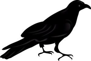 Raven Clipart Image   Silhouette Of A Raven Or A Crow