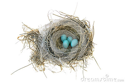Robin S Bird Nest Royalty Free Stock Photo   Image  34308465