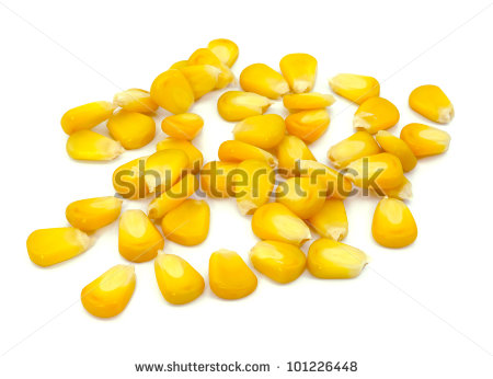 Single Corn Kernel Sweet Whole Kernel Corn