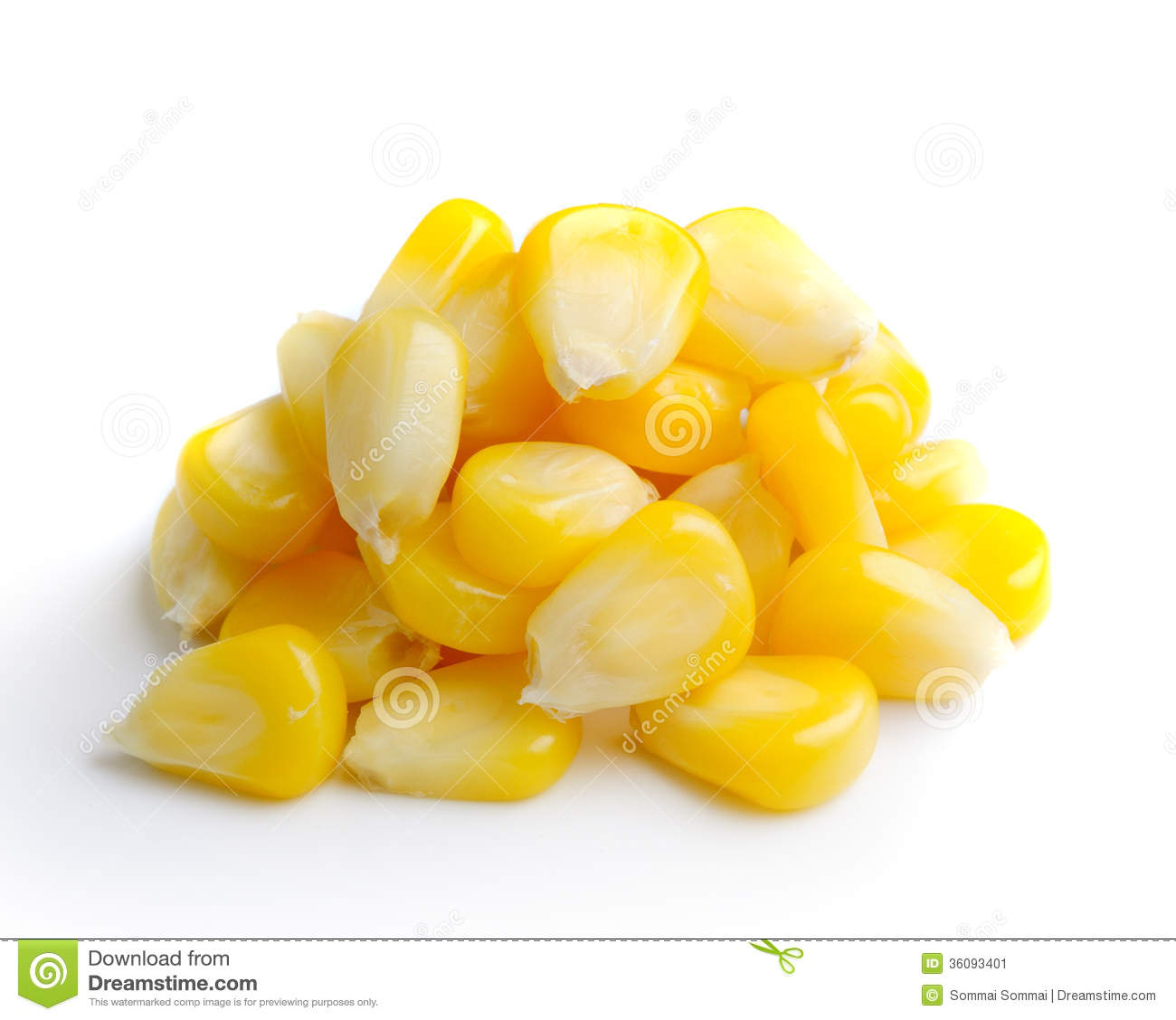 Sweet Whole Kernel Corn Stock Image   Image  36093401