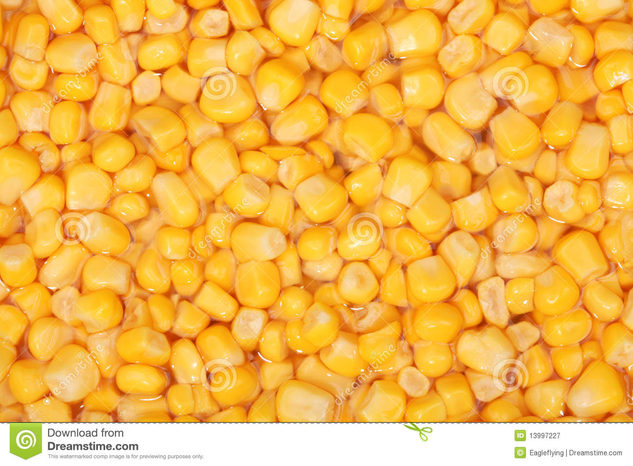 Tinned Whole Kernel Corn Background Royalty Free Stock Photography