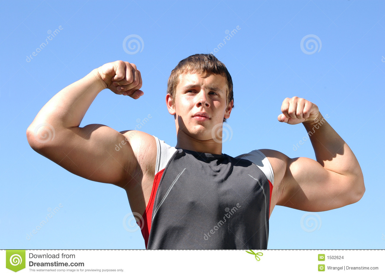 Flexing Biceps Stock Images   Image  1502624