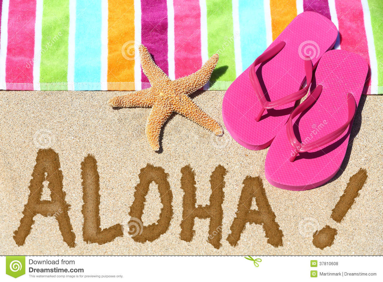 Hawaii Beach Travel Concept   Aloha Royalty Free Stock Photos   Image