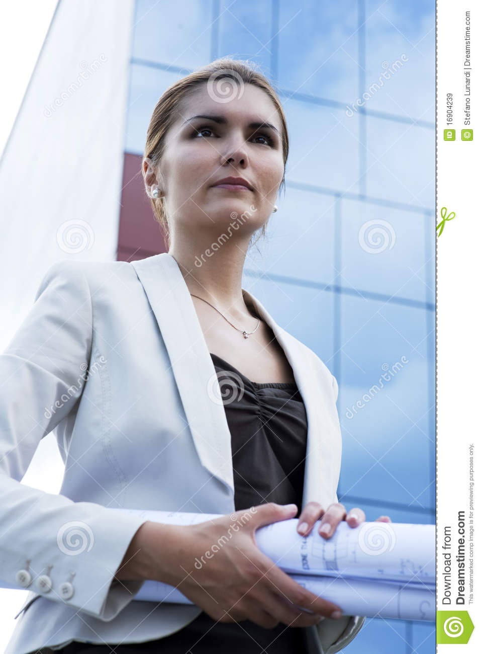 Young Female Engineer Royalty Free Stock Images   Image  16904239