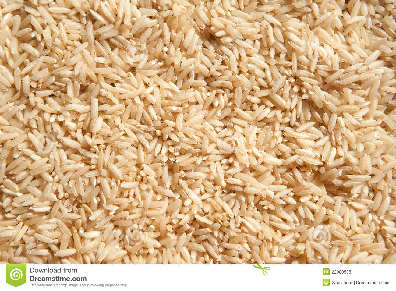 Brown Rice Texture Royalty Free Stock Photo   Image  22080505
