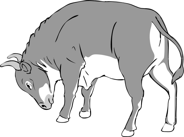 Bull Angry Bull Black And White Bull Bw Coloring Page Gray Bull