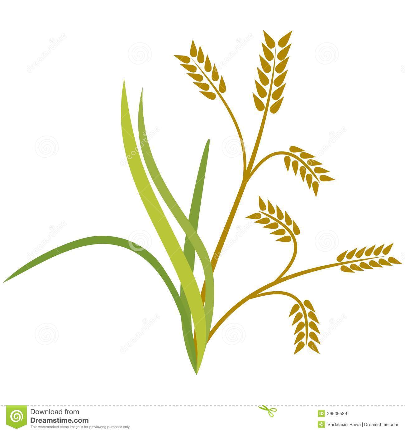 Chinese Rice Clipart   Cliparthut   Free Clipart