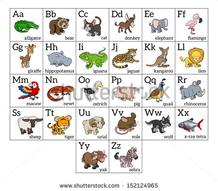     Letter And Upper And Lowercase Letters And Animal Names   Stock Vector