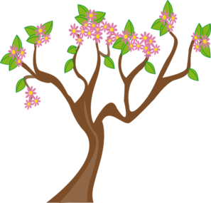 Spring Tree Clip Art At Clker Com   Vector Clip Art Online Royalty