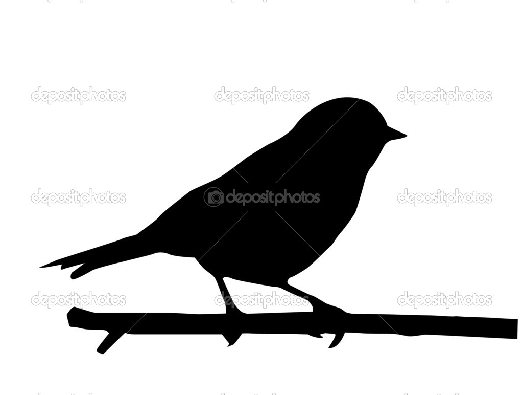 Vector Silhouette Of The Small Bird On Branch   Stock Vector