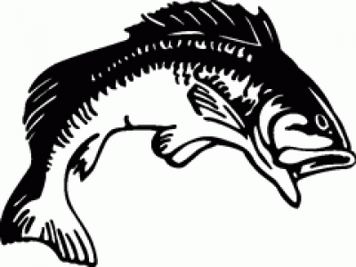 Bass Fish Silhouette Bass Fish Clip Art