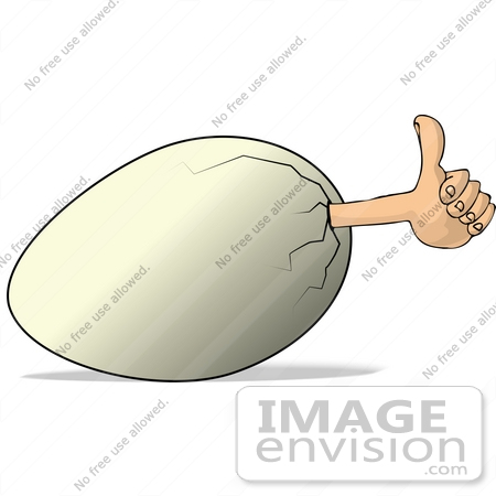 Clipart Of A Human Hand Sticking Out Of A White Egg Giving The Thumbs