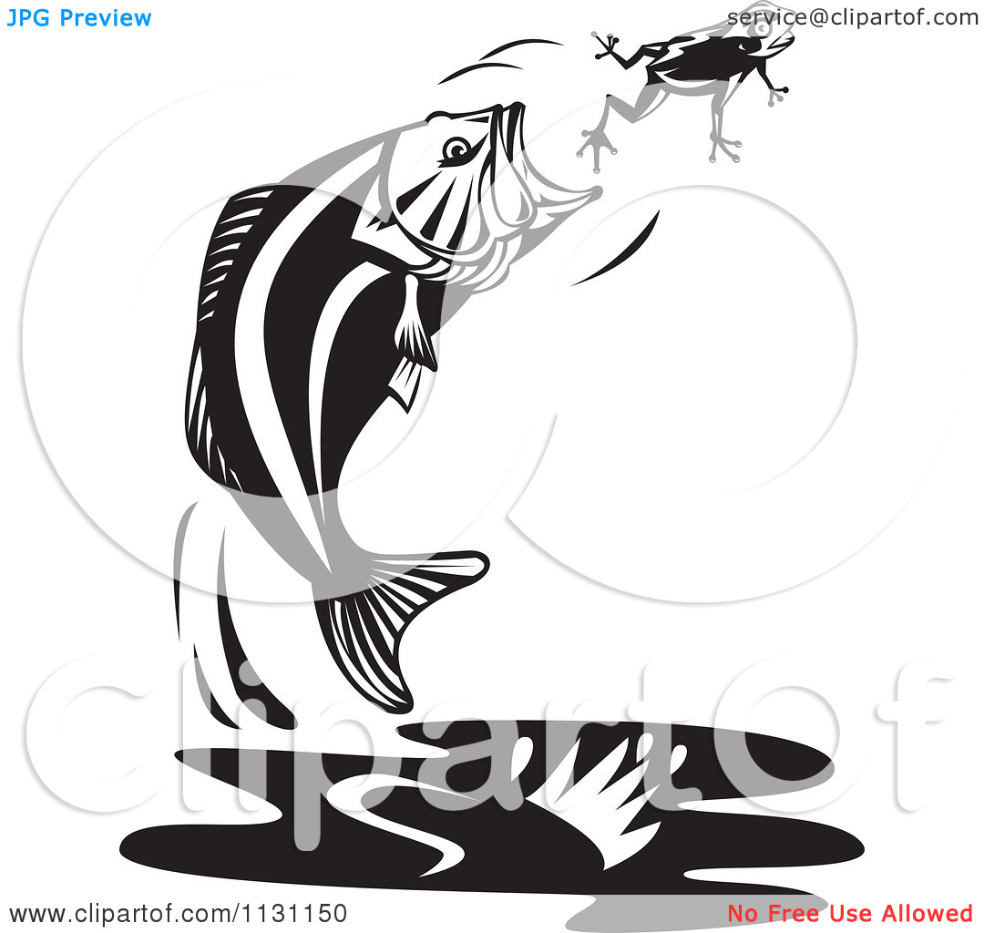 Clipart Of A Retro Black And White Jumping Largemouth Bass Fish