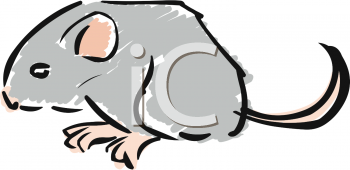 Clipart Picture Of A Gray Mouse   Animalclipart Net