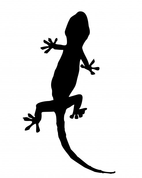 Gecko Silueta Clipart Stock De Foto Gratis   Public Domain Pictures