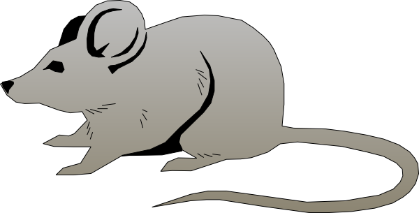 Gray Mouse Clip Art At Clker Com   Vector Clip Art Online Royalty