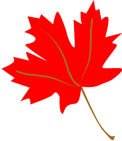 Leaves Red Maple Autumn Leaf Graphics