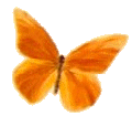 Non Animated Butterfly Gifs