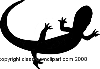 Silhouettes   Lizard Silhouette 1108 21   Classroom Clipart
