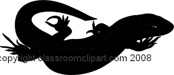 Silhouettes   Lizard Silhouette 1108 35   Classroom Clipart
