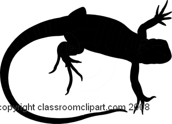 Silhouettes   Lizard Silhouette 1108 40m   Classroom Clipart