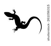 Stock Vector Beautiful Monochrome Lizard Lizard Silhouette Vector