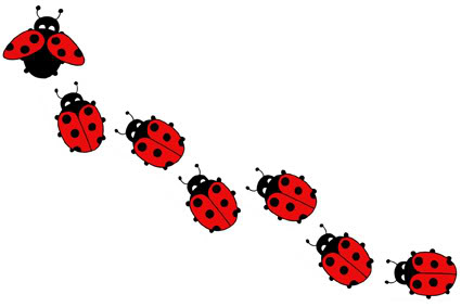 The Legend Of The Lady Bug And How It Was Named 