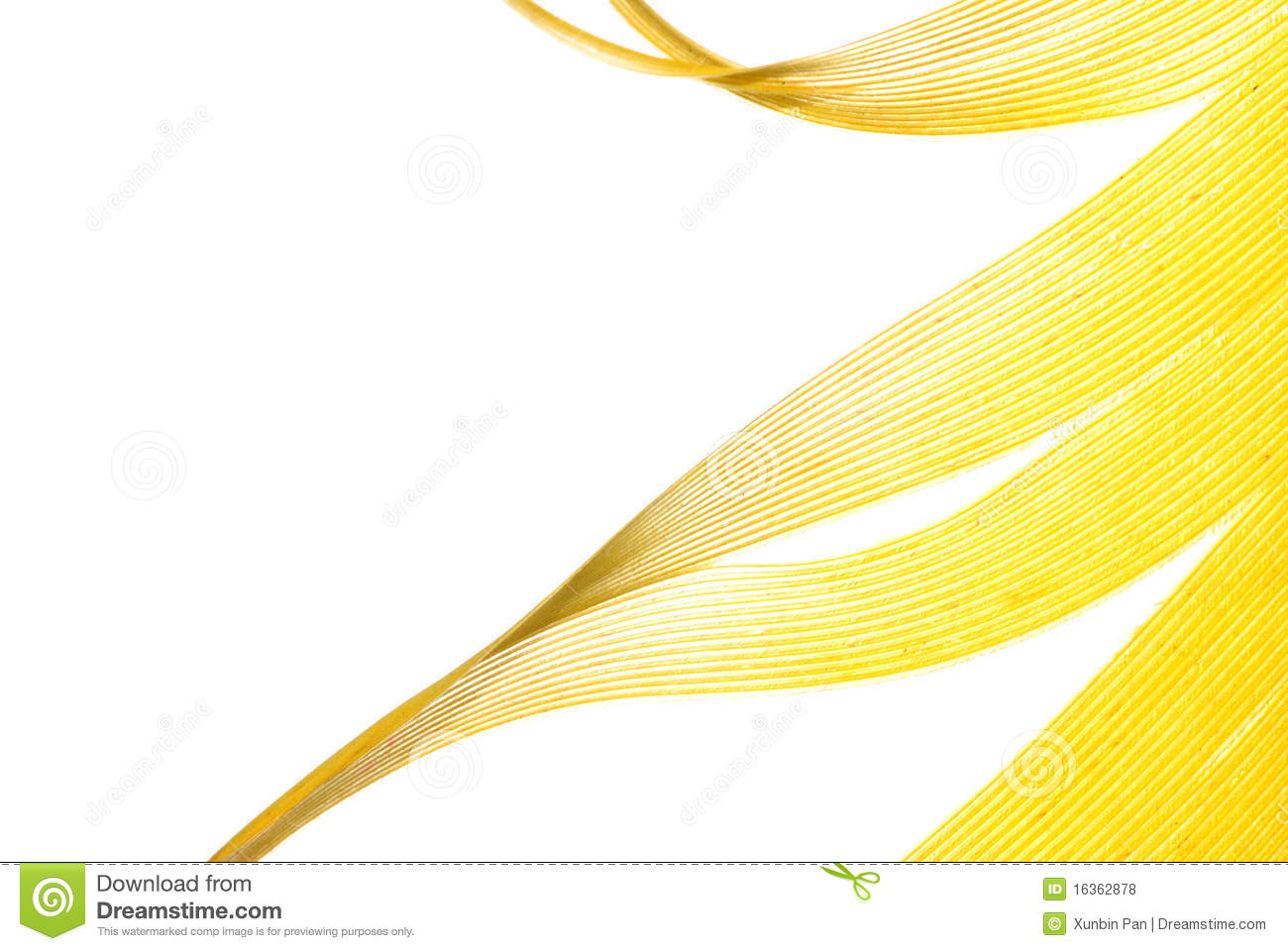 Yellow Feather Abstract Texture Royalty Free Stock Photos   Image